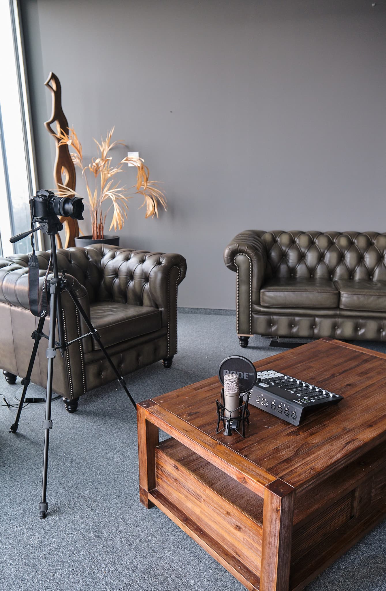 Profesionalna audio oprema